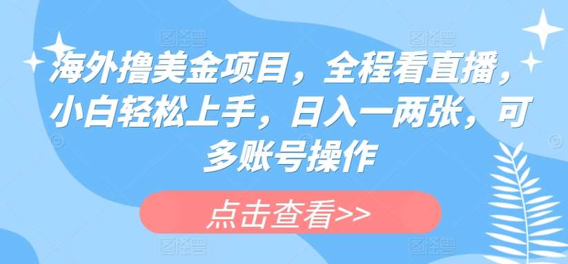海外撸美金项目，全程看直播，小白轻松上手，日入一两张，可多账号操作【揭秘】网创吧-网创项目资源站-副业项目-创业项目-搞钱项目网创吧