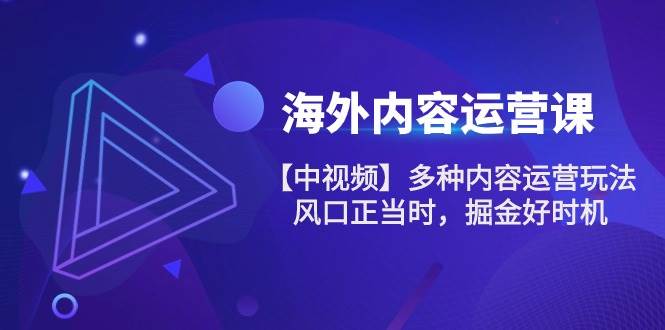 （10833期）海外内容 运营课【中视频】多种内容运营玩法 风口正当时 掘金好时机-101节网创吧-网创项目资源站-副业项目-创业项目-搞钱项目网创吧