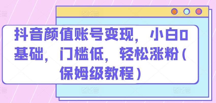 抖音颜值账号变现，小白0基础，门槛低，​轻松涨粉(保姆级教程)【揭秘】网创吧-网创项目资源站-副业项目-创业项目-搞钱项目网创吧