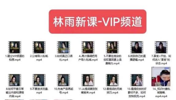 林雨新课VIP频道，玩赚私域/朋友圈/社群网创吧-网创项目资源站-副业项目-创业项目-搞钱项目网创吧