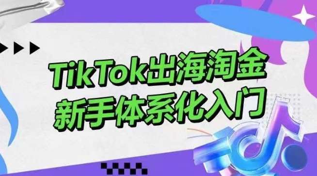 TikTok出海淘金，新手体系化入门，零基础快速入门，掌握短视频、直播带货等引流到变现的知识网创吧-网创项目资源站-副业项目-创业项目-搞钱项目网创吧