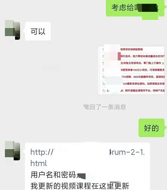 图片[2]网创吧-网创项目资源站-副业项目-创业项目-搞钱项目小彬网虚拟资源网站培训课程，如何一个月快速做出盈利的资源网站（实打实经验）网创吧-网创项目资源站-副业项目-创业项目-搞钱项目网创吧