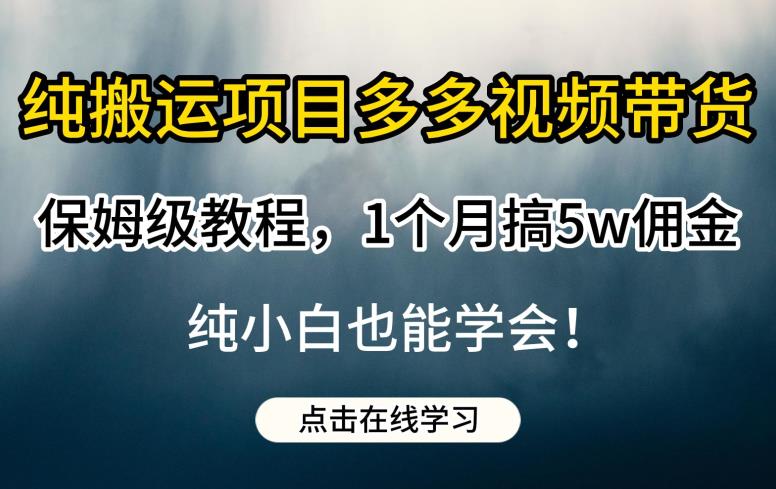 纯搬运项目多多视频带货保姆级教程，1个月搞5w佣金，纯小白也能学会【揭秘】网创吧-网创项目资源站-副业项目-创业项目-搞钱项目网创吧