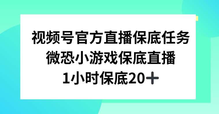 视频号直播任务，微恐小游戏，1小时20+【揭秘】网创吧-网创项目资源站-副业项目-创业项目-搞钱项目网创吧