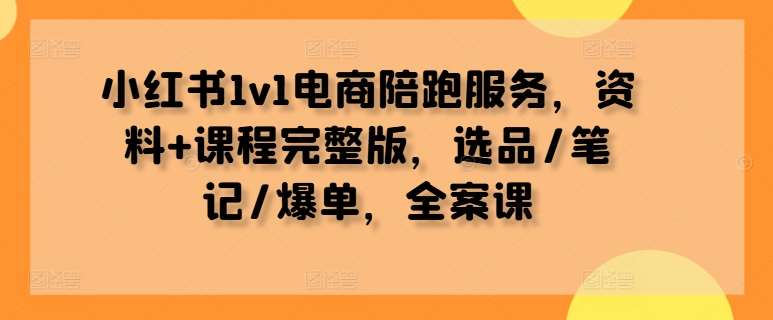 小红书1v1电商陪跑服务，资料+课程完整版，选品/笔记/爆单，全案课网创吧-网创项目资源站-副业项目-创业项目-搞钱项目网创吧