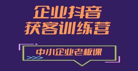 企业抖音营销获客增长训练营，中小企业老板必修课网创吧-网创项目资源站-副业项目-创业项目-搞钱项目网创吧