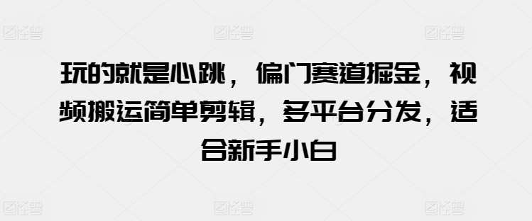 玩的就是心跳,偏门赛道掘金,视频搬运简单剪辑,多平台分发,适合新手小白【揭秘】网创吧-网创项目资源站-副业项目-创业项目-搞钱项目网创吧