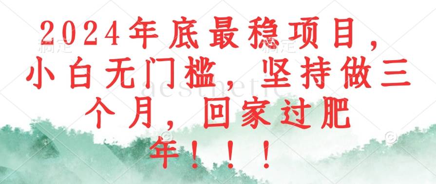 （12970期）2024年底最稳项目，小白无门槛，坚持做三个月，回家过肥年！！！网创吧-网创项目资源站-副业项目-创业项目-搞钱项目网创吧