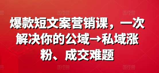 爆款短文案营销课，一次解决你的公域→私域涨粉、成交难题网创吧-网创项目资源站-副业项目-创业项目-搞钱项目网创吧