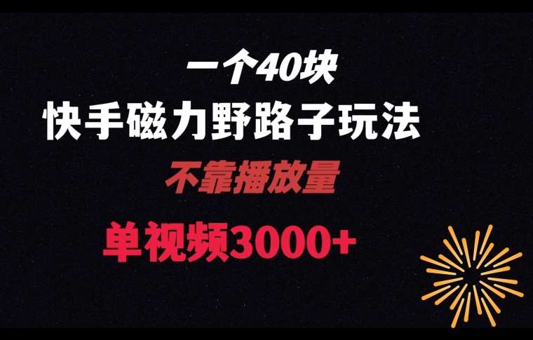 一个40块，快手联合美团磁力新玩法，无视机制野路子玩法，单视频收益4位数【揭秘】网创吧-网创项目资源站-副业项目-创业项目-搞钱项目网创吧