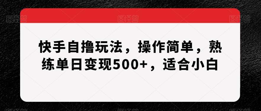 快手自撸玩法，操作简单，熟练单日变现500+，适合小白【揭秘】网创吧-网创项目资源站-副业项目-创业项目-搞钱项目网创吧