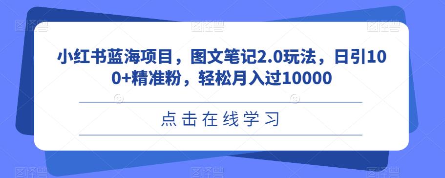 小红书蓝海项目，图文笔记2.0玩法，日引100+精准粉，轻松月入过10000【揭秘】网创吧-网创项目资源站-副业项目-创业项目-搞钱项目网创吧