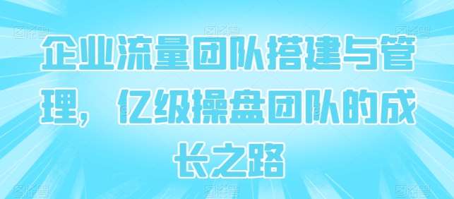 企业流量团队搭建与管理，亿级操盘团队的成长之路网创吧-网创项目资源站-副业项目-创业项目-搞钱项目网创吧