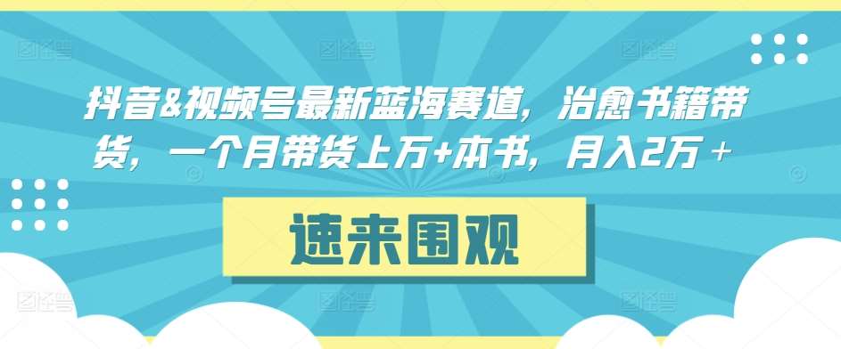 抖音&视频号最新蓝海赛道，治愈书籍带货，一个月带货上万+本书，月入2万＋【揭秘】网创吧-网创项目资源站-副业项目-创业项目-搞钱项目网创吧