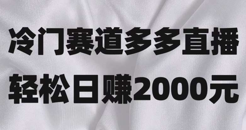 冷门赛道拼多多直播，简单念稿子，日收益2000＋【揭秘】网创吧-网创项目资源站-副业项目-创业项目-搞钱项目网创吧