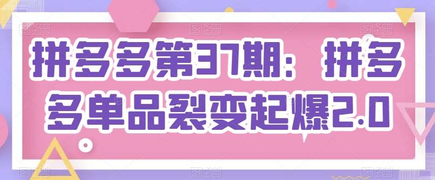 拼多多第37期：拼多多单品裂变起爆2.0网创吧-网创项目资源站-副业项目-创业项目-搞钱项目网创吧
