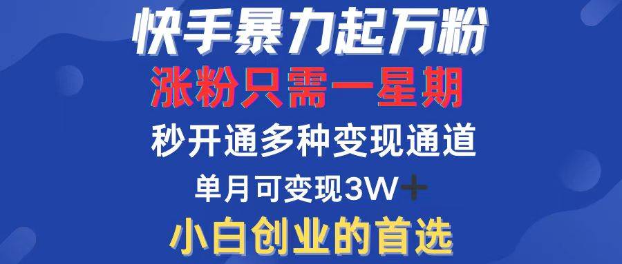 （12651期）快手暴力起万粉，涨粉只需一星期，多种变现模式，直接秒开万合，小白创…网创吧-网创项目资源站-副业项目-创业项目-搞钱项目网创吧