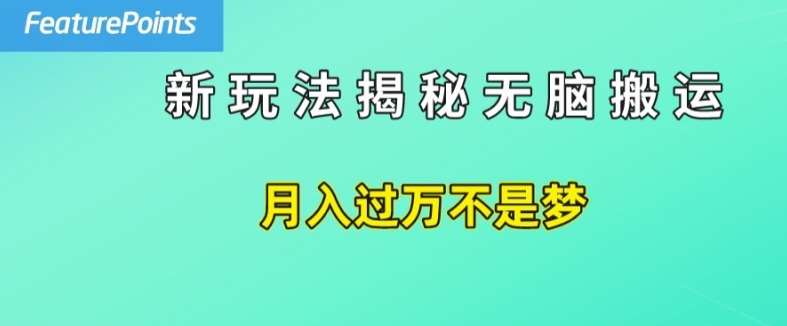 简单操作，每天50美元收入，搬运就是赚钱的秘诀【揭秘】网创吧-网创项目资源站-副业项目-创业项目-搞钱项目网创吧