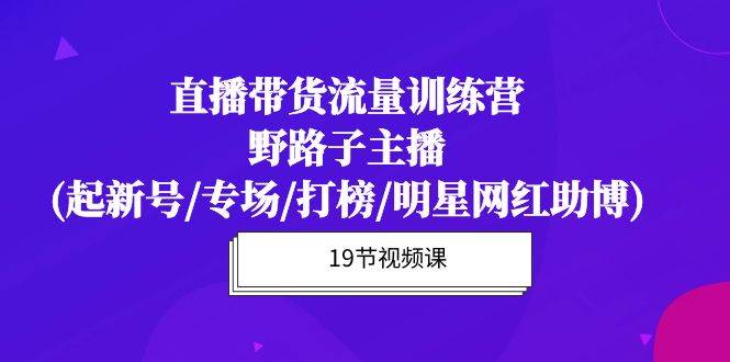 （10016期）直播带货流量特训营，野路子主播(起新号/专场/打榜/明星网红助博)19节课网创吧-网创项目资源站-副业项目-创业项目-搞钱项目网创吧