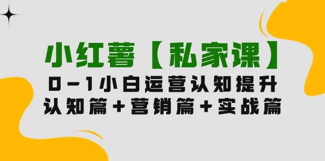 （9910期）小红薯【私家课】0-1玩赚小红书内容营销，认知篇+营销篇+实战篇（11节课）网创吧-网创项目资源站-副业项目-创业项目-搞钱项目网创吧