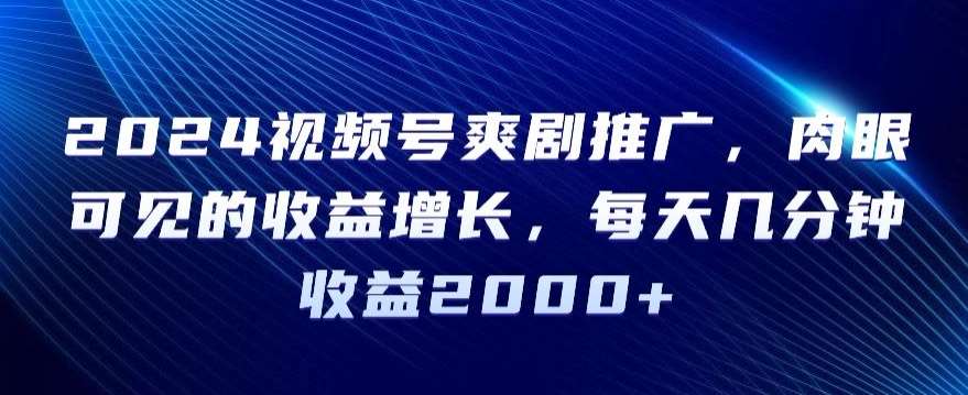 2024视频号爽剧推广，肉眼可见的收益增长，每天几分钟收益2000+【揭秘】网创吧-网创项目资源站-副业项目-创业项目-搞钱项目网创吧