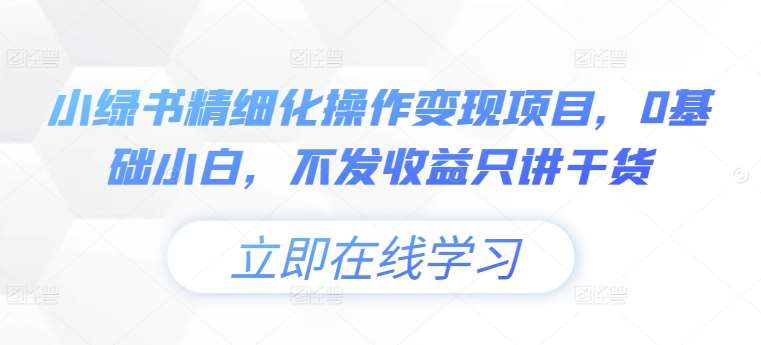 小绿书精细化操作变现项目，0基础小白，不发收益只讲干货网创吧-网创项目资源站-副业项目-创业项目-搞钱项目网创吧