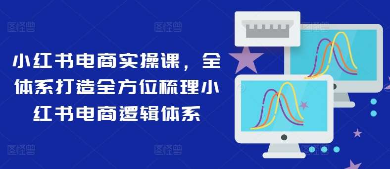 小红书电商实操课，全体系打造全方位梳理小红书电商逻辑体系网创吧-网创项目资源站-副业项目-创业项目-搞钱项目网创吧