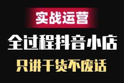 抖音小店精细化实战运营，只讲干货不废话网创吧-网创项目资源站-副业项目-创业项目-搞钱项目网创吧