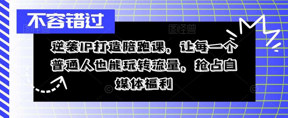 逆袭IP打造陪跑课，让每一个普通人也能玩转流量，抢占自媒体福利网创吧-网创项目资源站-副业项目-创业项目-搞钱项目网创吧