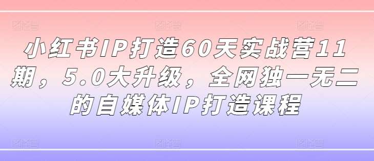 小红书IP打造60天实战营11期，5.0大升级，全网独一无二的自媒体IP打造课程网创吧-网创项目资源站-副业项目-创业项目-搞钱项目网创吧