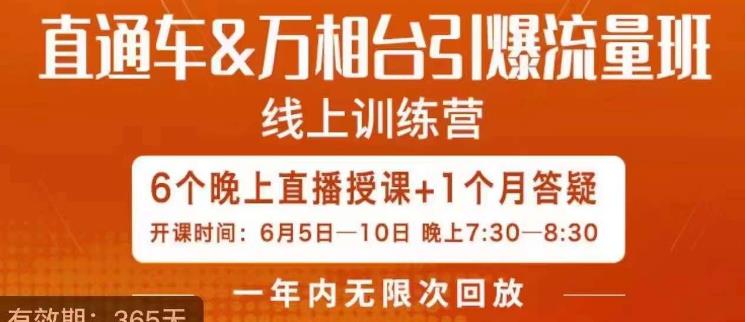 直通车&万相台引爆流量班，6天打通你开直通车·万相台的任督二脉网创吧-网创项目资源站-副业项目-创业项目-搞钱项目网创吧