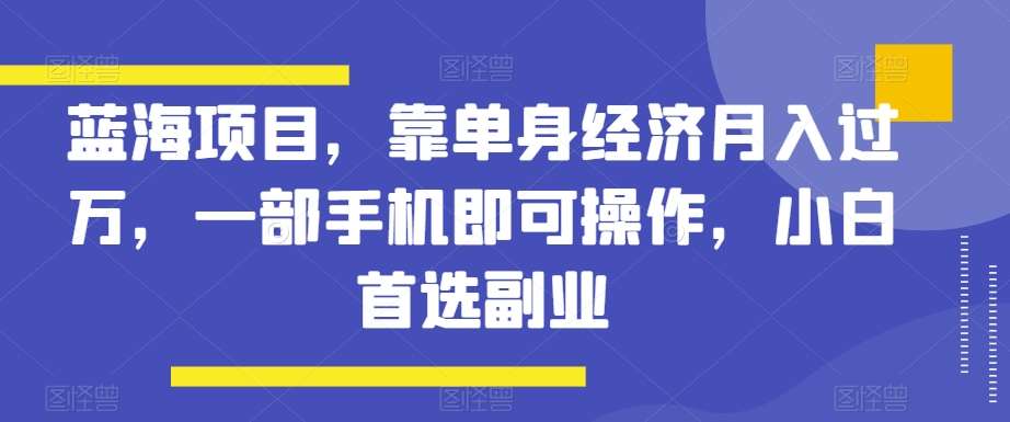 蓝海项目，靠单身经济月入过万，一部手机即可操作，小白首选副业【揭秘】网创吧-网创项目资源站-副业项目-创业项目-搞钱项目网创吧