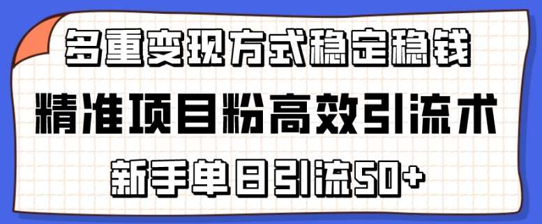 精准项目粉高效引流术,新手单日引流50+,多重变现方式稳定赚钱【揭秘】网创吧-网创项目资源站-副业项目-创业项目-搞钱项目网创吧