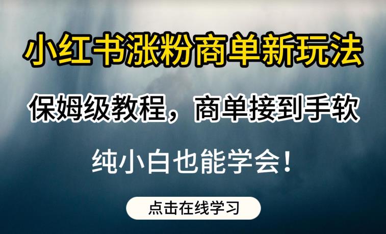 小红书涨粉商单新玩法，保姆级教程，商单接到手软，纯小白也能学会【揭秘】网创吧-网创项目资源站-副业项目-创业项目-搞钱项目网创吧