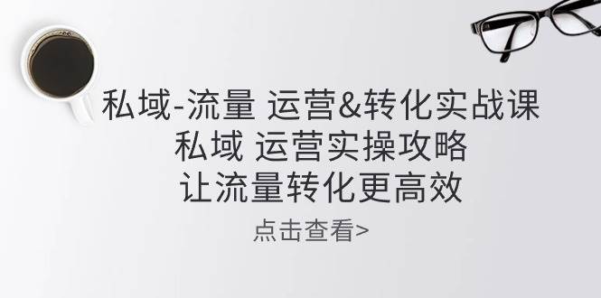 （10739期）私域-流量 运营&转化实操课：私域 运营实操攻略 让流量转化更高效网创吧-网创项目资源站-副业项目-创业项目-搞钱项目网创吧