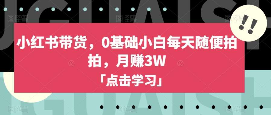 小红书带货，0基础小白每天随便拍拍，月赚3W【揭秘】网创吧-网创项目资源站-副业项目-创业项目-搞钱项目网创吧