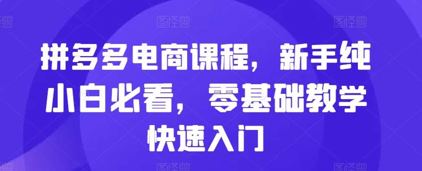 拼多多电商课程，新手纯小白必看，零基础教学快速入门网创吧-网创项目资源站-副业项目-创业项目-搞钱项目网创吧