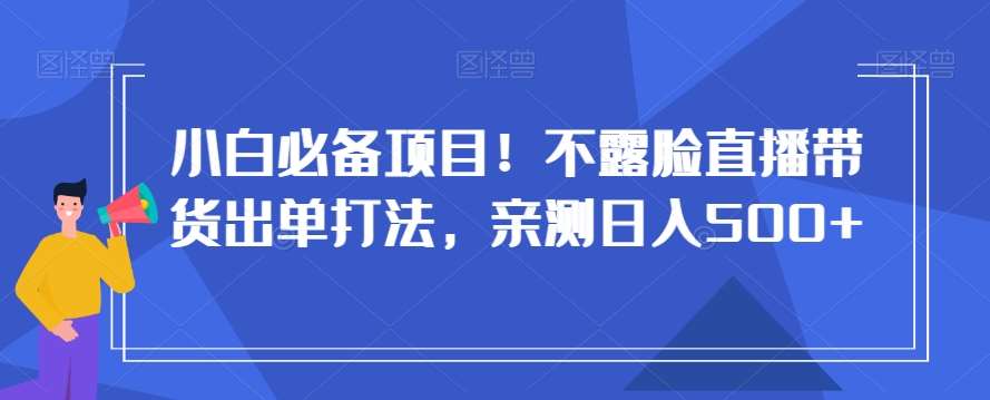 小白必备项目！不露脸直播带货出单打法，亲测日入500+【揭秘】网创吧-网创项目资源站-副业项目-创业项目-搞钱项目网创吧