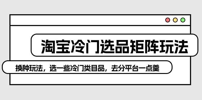 （10159期）淘宝冷门选品矩阵玩法：换种玩法，选一些冷门类目品，去分平台一点羹网创吧-网创项目资源站-副业项目-创业项目-搞钱项目网创吧