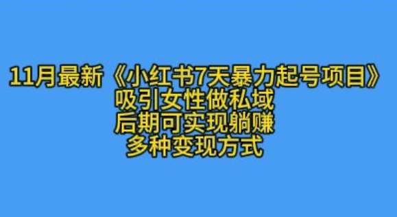 K总部落11月最新小红书7天暴力起号项目，吸引女性做私域【揭秘】网创吧-网创项目资源站-副业项目-创业项目-搞钱项目网创吧