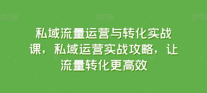 私域流量运营与转化实战课，私域运营实战攻略，让流量转化更高效网创吧-网创项目资源站-副业项目-创业项目-搞钱项目网创吧