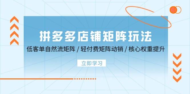 （12720期）拼多多店铺矩阵玩法：低客单自然流矩阵 / 轻付费矩阵 动销 / 核心权重提升网创吧-网创项目资源站-副业项目-创业项目-搞钱项目网创吧