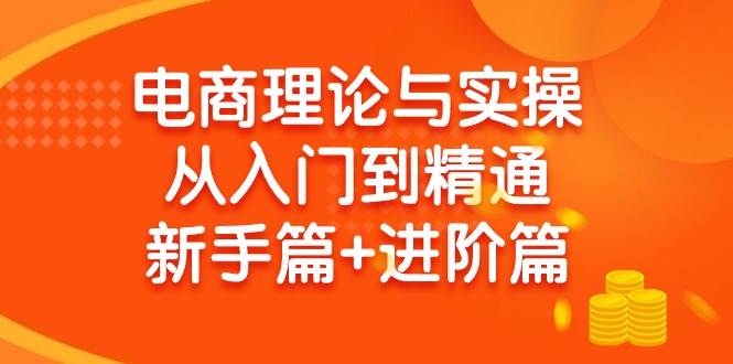 （9576期）电商理论与实操从入门到精通 新手篇+进阶篇网创吧-网创项目资源站-副业项目-创业项目-搞钱项目网创吧