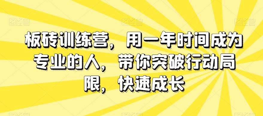 板砖训练营，用一年时间成为专业的人，带你突破行动局限，快速成长网创吧-网创项目资源站-副业项目-创业项目-搞钱项目网创吧