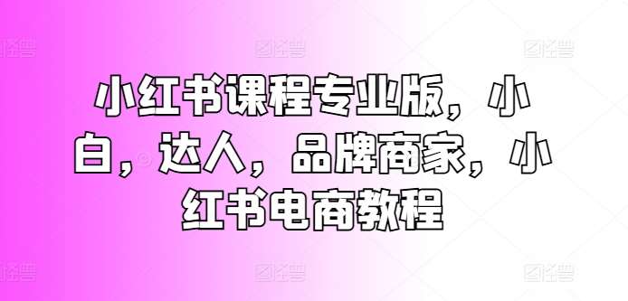 小红书课程专业版，小白，达人，品牌商家，小红书电商教程网创吧-网创项目资源站-副业项目-创业项目-搞钱项目网创吧
