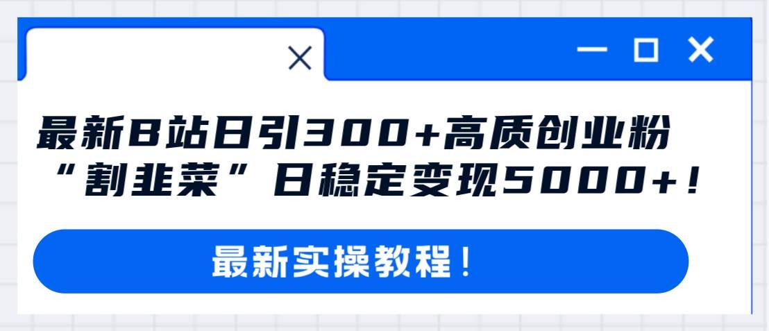 （8216期）最新B站日引300+高质创业粉教程！“割韭菜”日稳定变现5000+！网创吧-网创项目资源站-副业项目-创业项目-搞钱项目网创吧