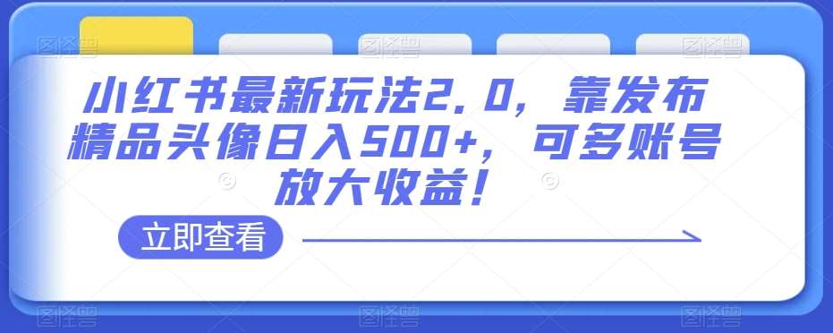 小红书最新玩法2.0,靠发布精品头像日入500+,可多账号放大收益!【揭秘】网创吧-网创项目资源站-副业项目-创业项目-搞钱项目网创吧