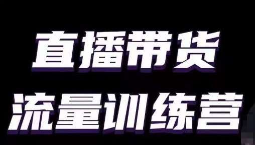 直播带货流量训练营，小白主播必学直播课网创吧-网创项目资源站-副业项目-创业项目-搞钱项目网创吧