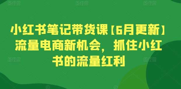 小红书笔记带货课【6月更新】流量电商新机会，抓住小红书的流量红利网创吧-网创项目资源站-副业项目-创业项目-搞钱项目网创吧