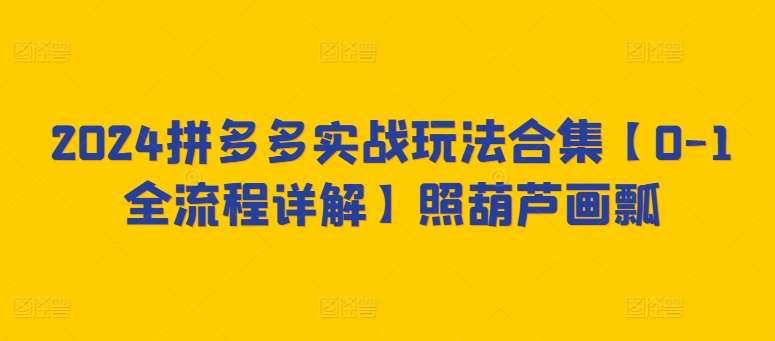 2024拼多多实战玩法合集【0-1全流程详解】照葫芦画瓢网创吧-网创项目资源站-副业项目-创业项目-搞钱项目网创吧